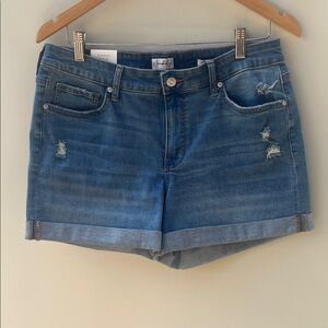 Wonderly Classic Blue Jean Shorts
